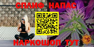 хмурый Апшеронск