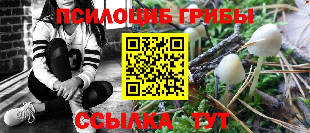 Псилоцибиновые грибы мухоморы  Вход с VPN  Белорецк 