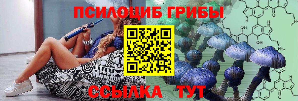 Галлюциногенные грибы прущие грибы Белорецк